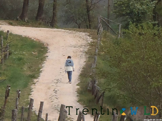 Scopri Trento a piedi.jpg